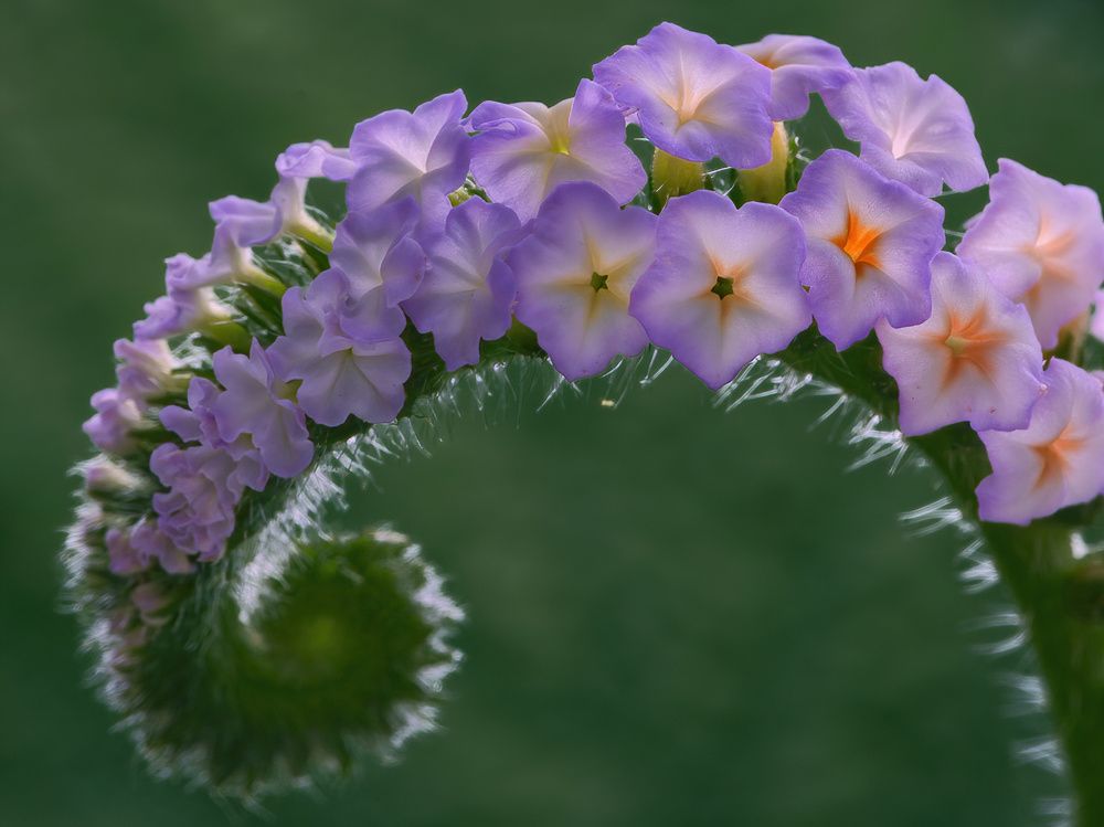 Photograph by Li Chen-You