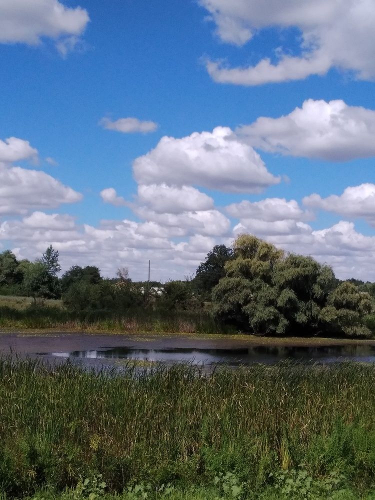 Photograph by Марта Васильева