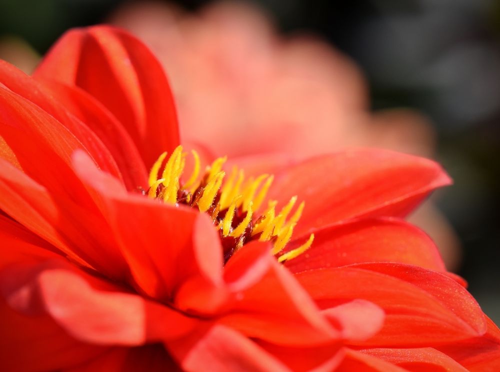 Photograph by Aleksandra Bistrova