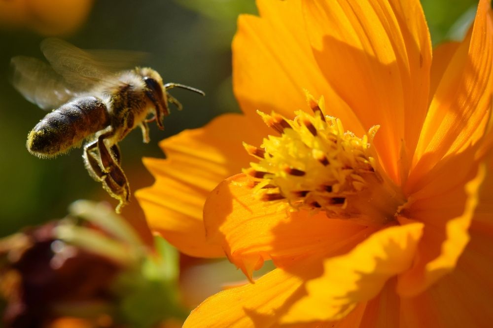 Photograph by Aleksandra Bistrova