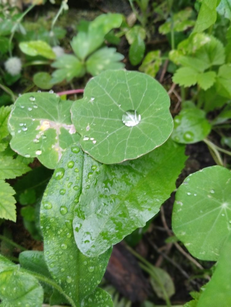 Photograph by Елена Малкова