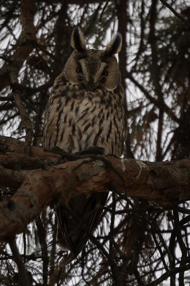 Photograph by Nikitina Yuliya