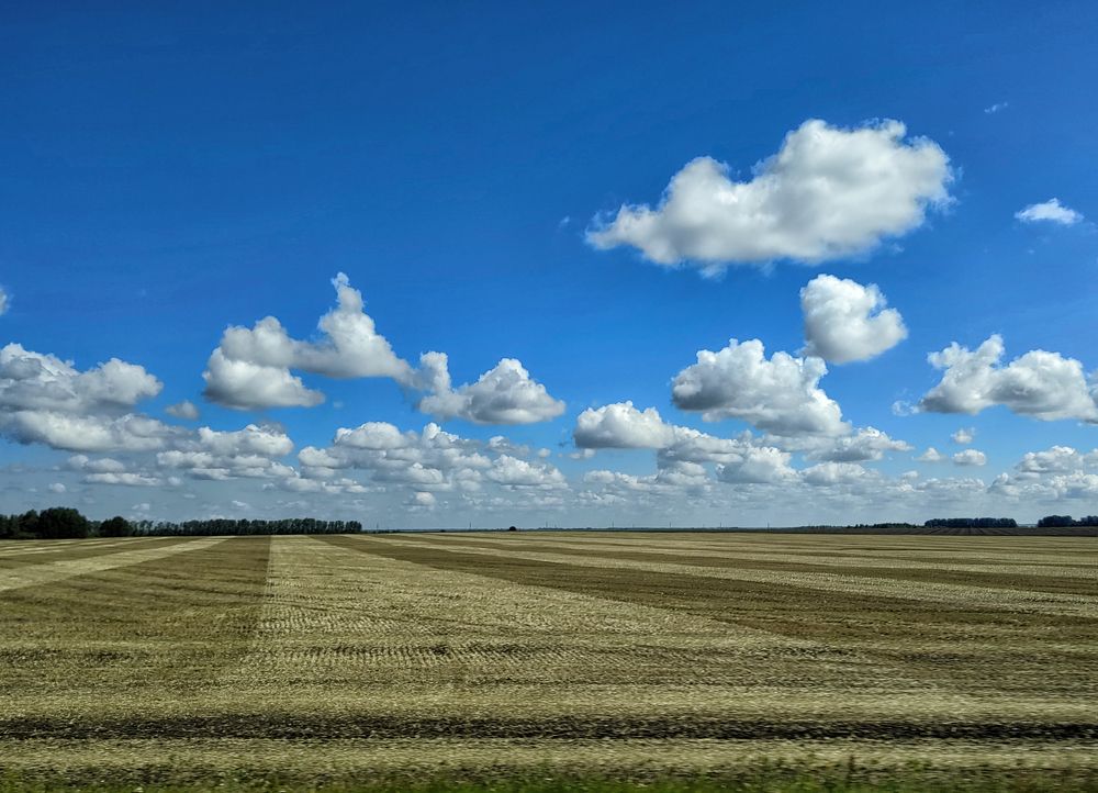 Photograph by Михаил Янкин