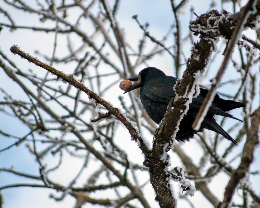 Фотография автора Олег Васильев