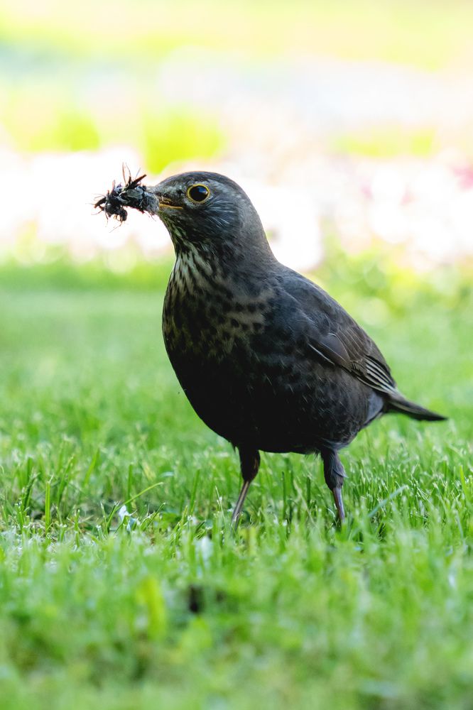 Photograph by Anton Leonchikov