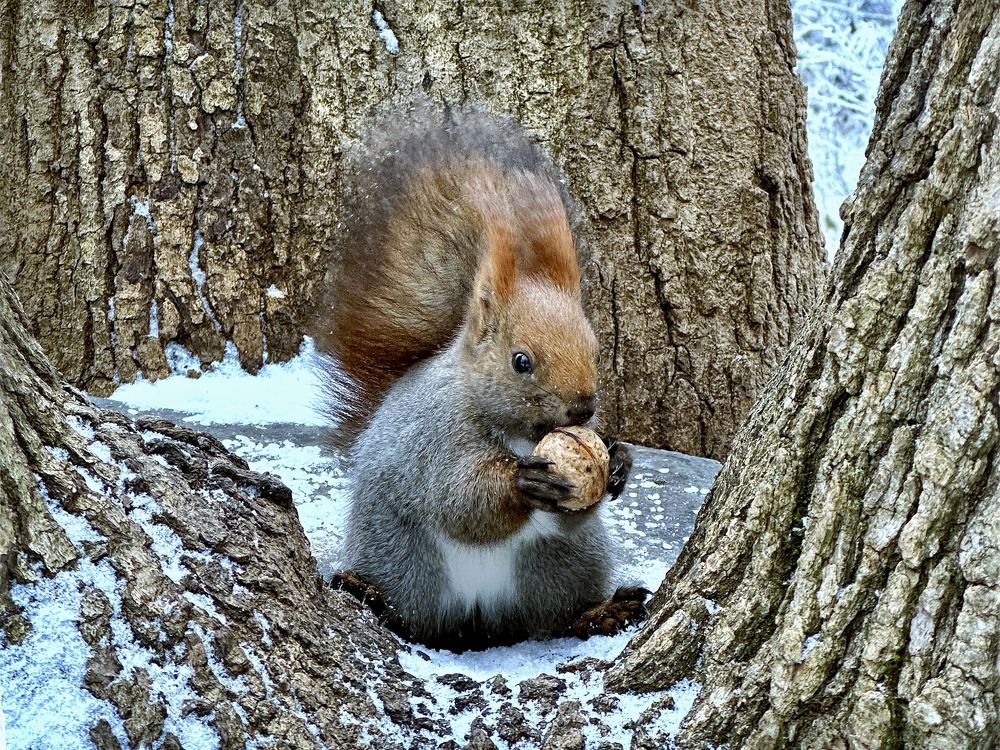 Фотография автора Олег Васильев