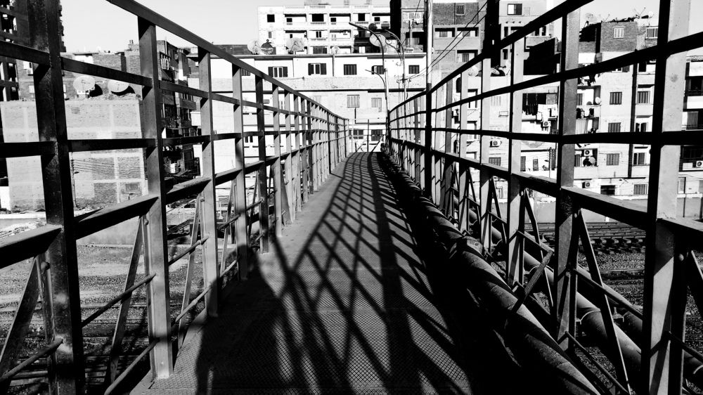 Фотография автора John Salib