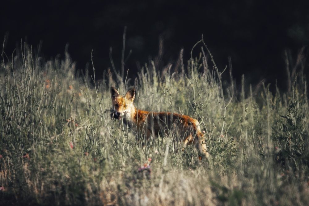 Photograph by Yuliya Karpova