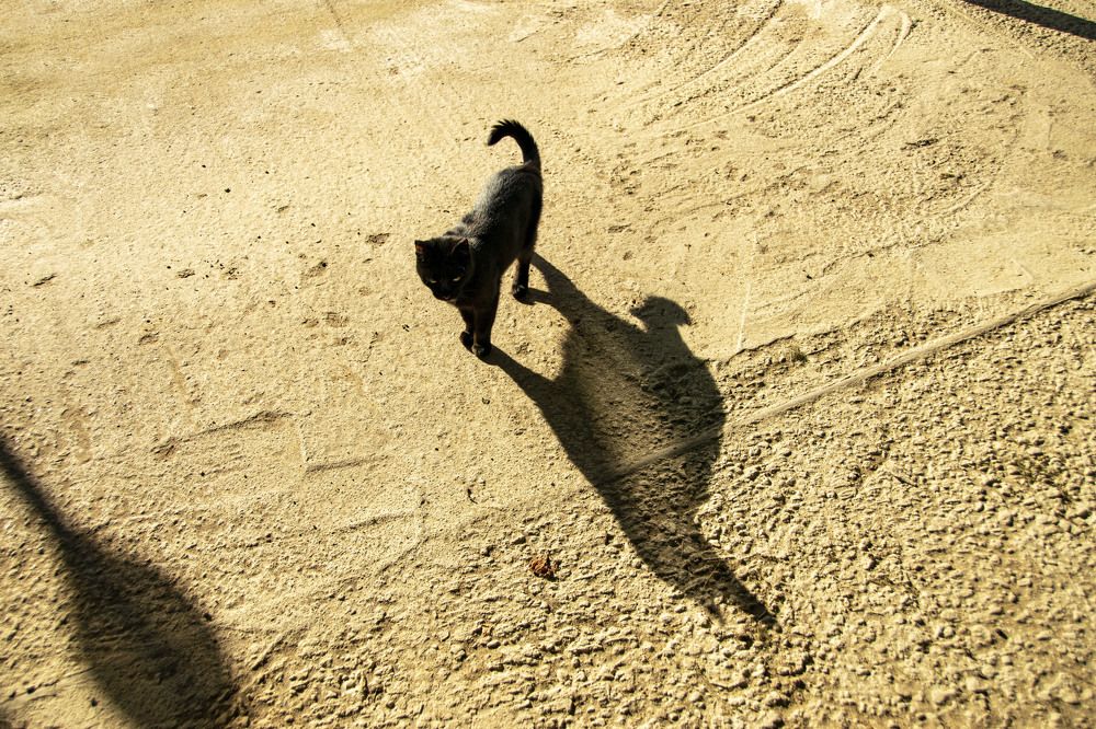 Photograph by Дария Ризниченко