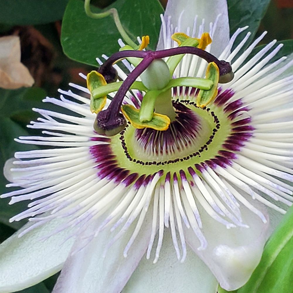 Photograph by Елена Беланенко