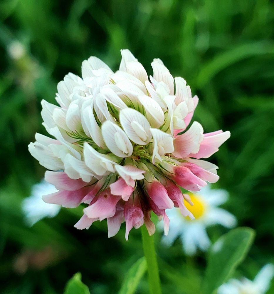 Photograph by Елена Беланенко