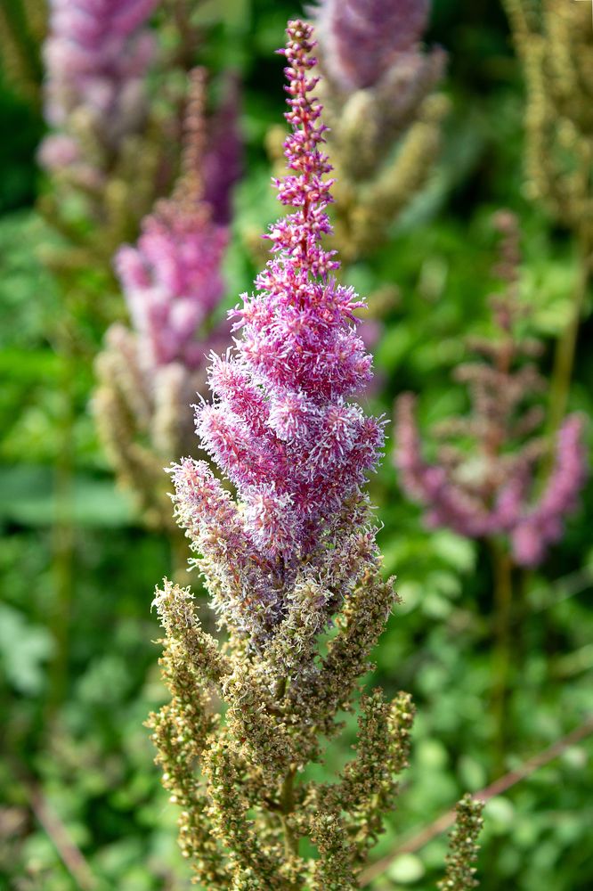 Photograph by Елена Беланенко