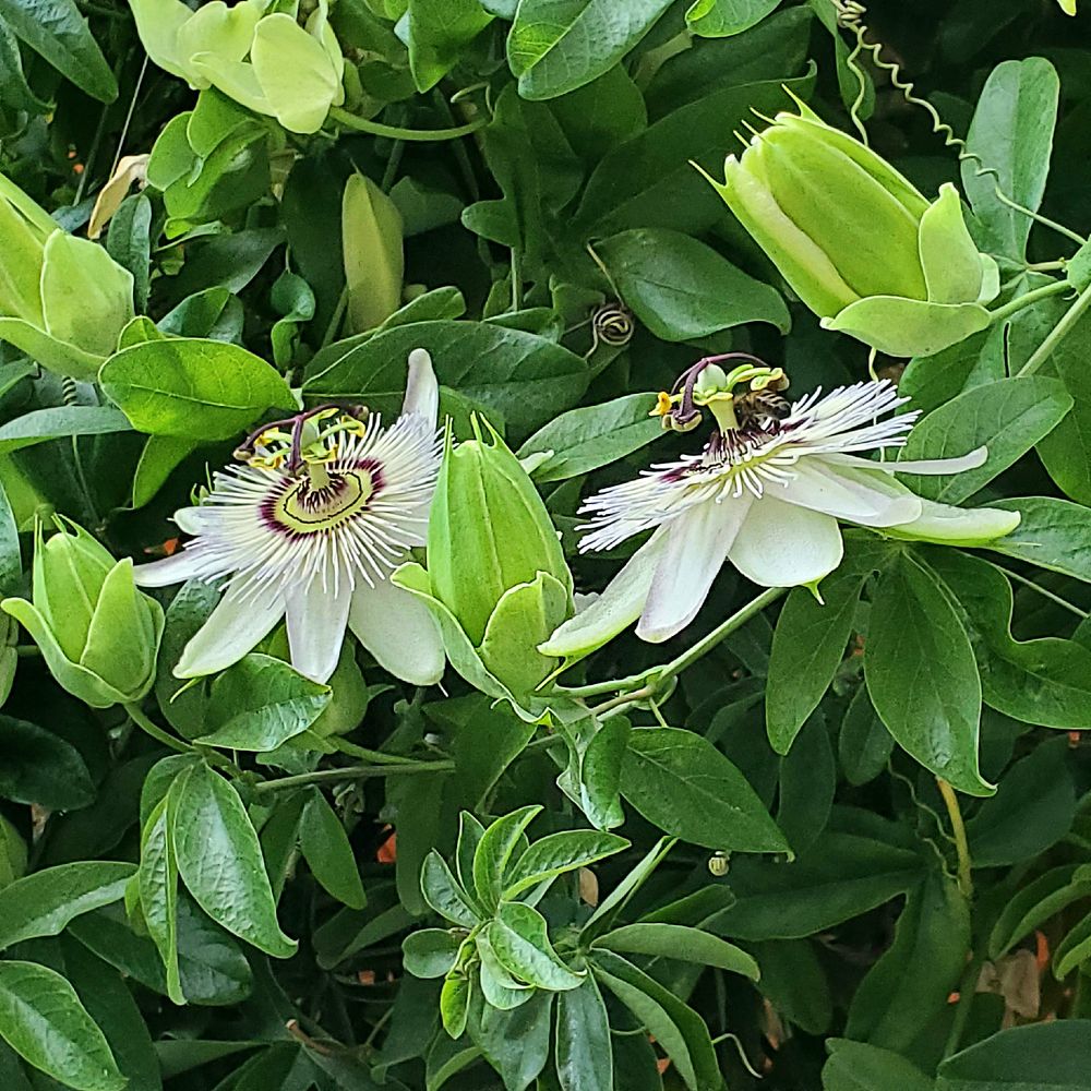 Photograph by Елена Беланенко