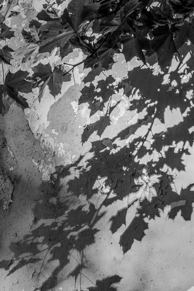 Photograph by Владимир