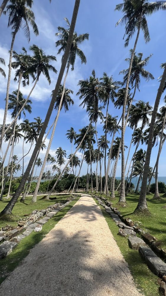 Фотография автора shima tabatabai