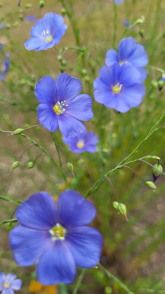 Фотография автора Татьяна Прашкевич