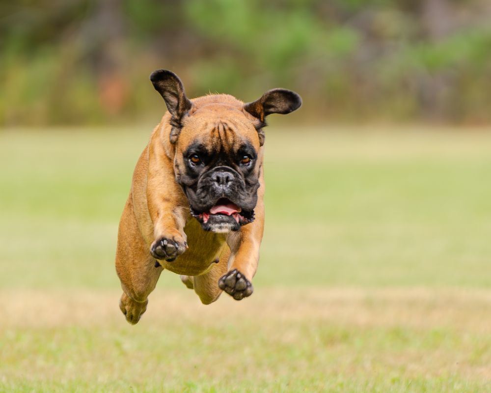 Photograph by Сергей Жиркевич