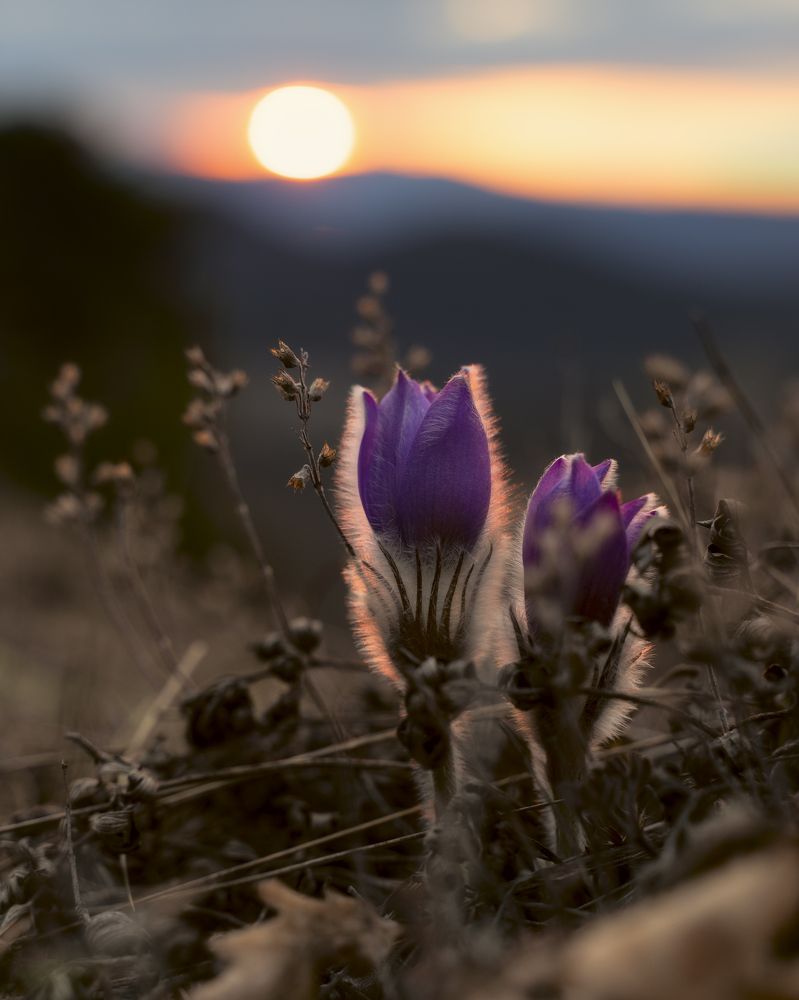 Photograph by Юлия Мальцева