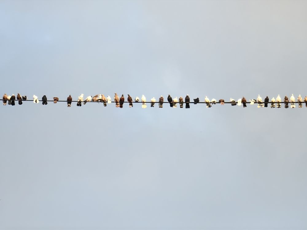 Photograph by OLGA MIKHNEVICH