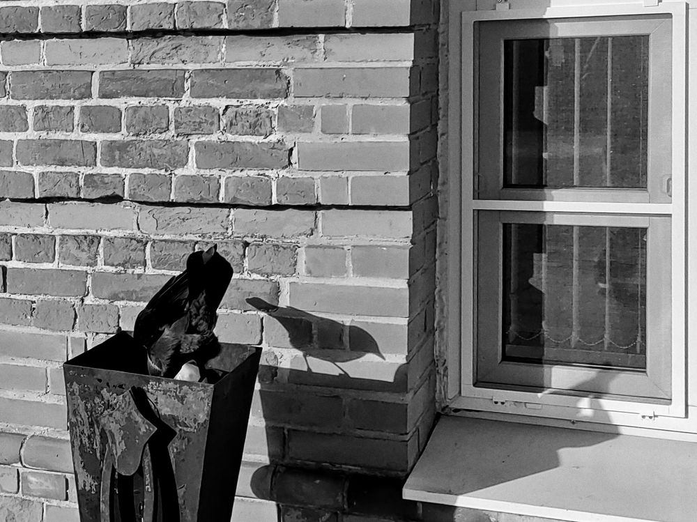 Photograph by Михаил Янкин