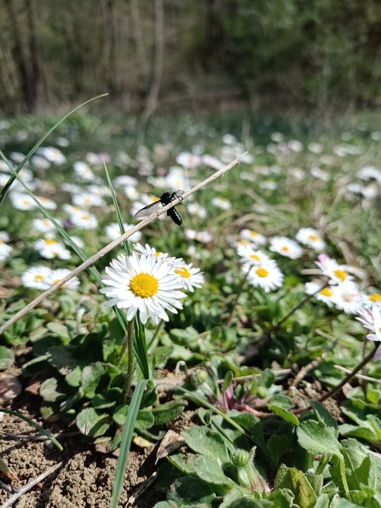 Photograph by Анастасия