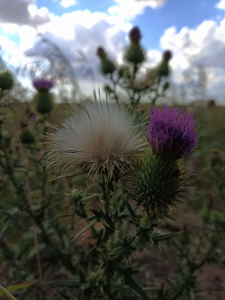 Photograph by Анастасия