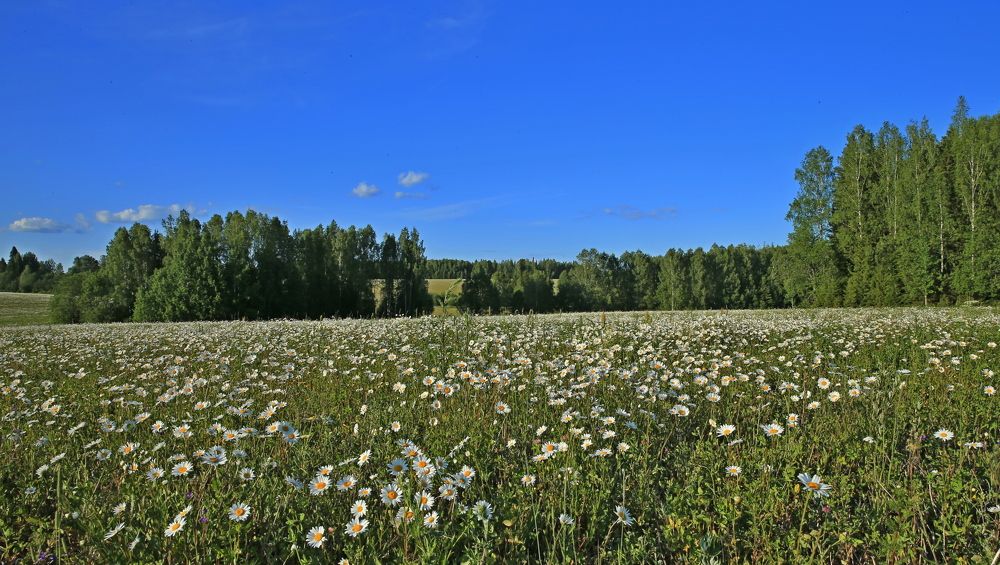 Фотография автора Юрий Кетель