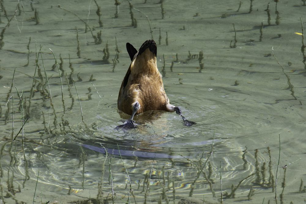 Photograph by Кирилл Савенко