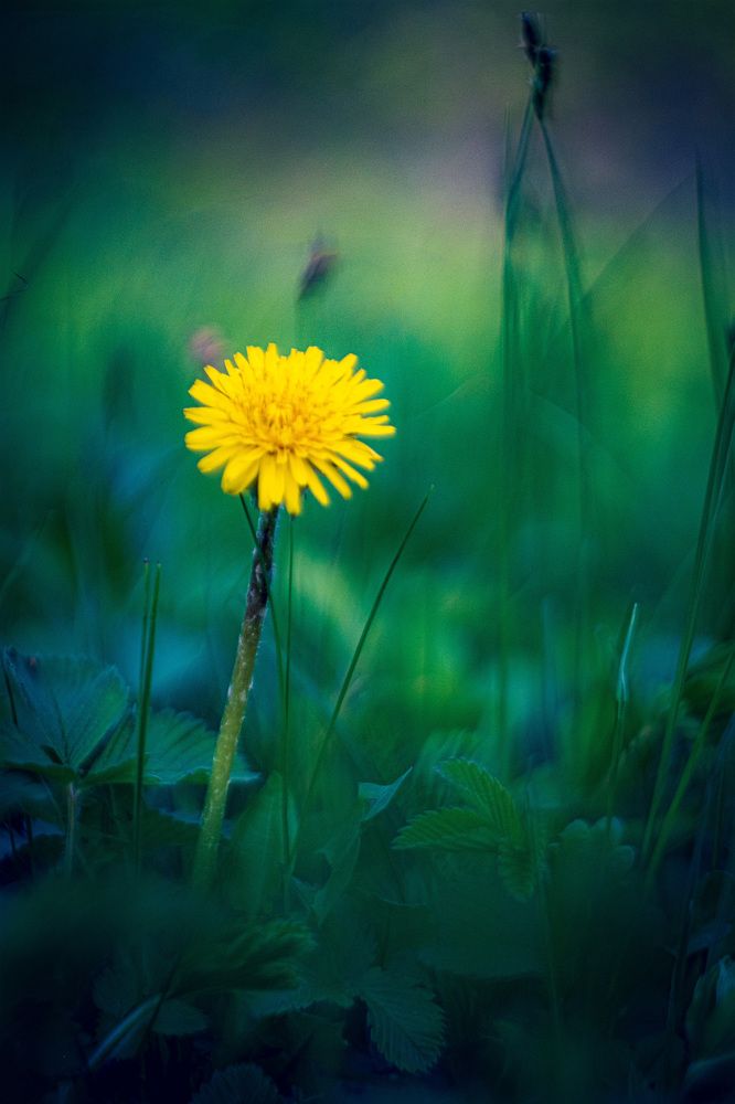 Photograph by Альберт Габбасов