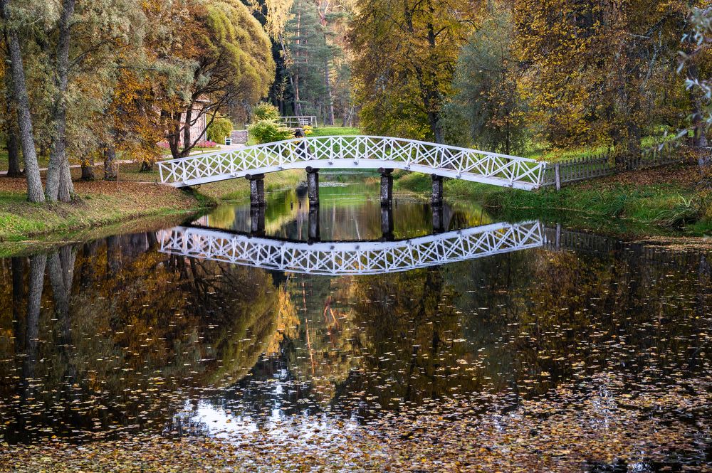 Photograph by Анна Стрелковская