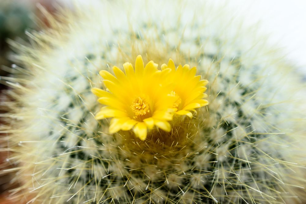 Photograph by Юрий Силин