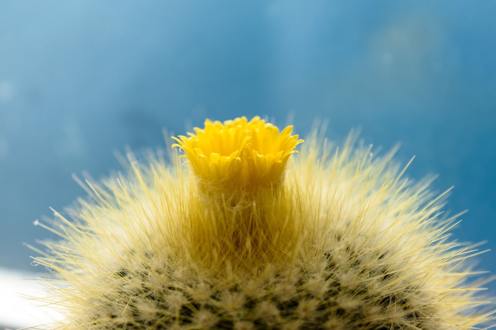 Photograph by Юрий Силин