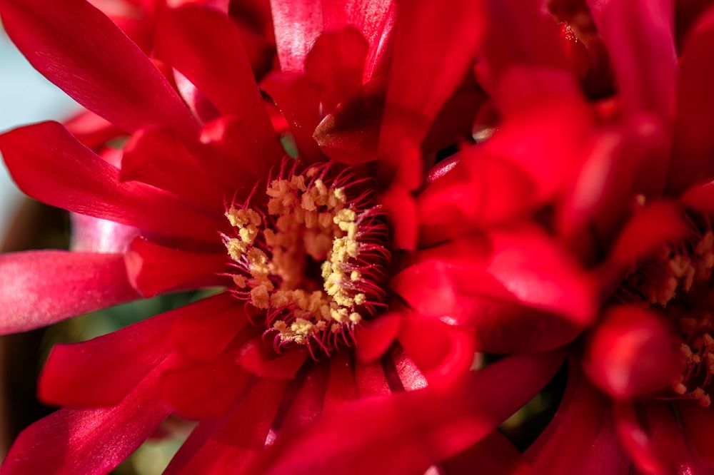 Photograph by Юрий Силин