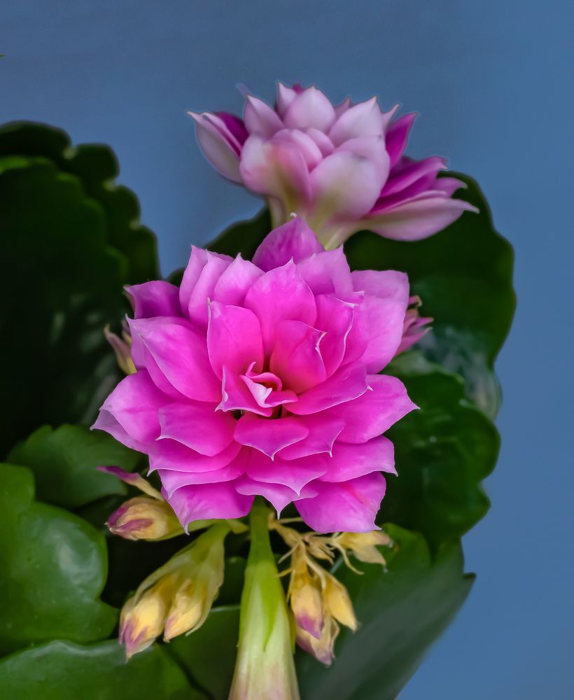 Photograph by Алексей Бирин