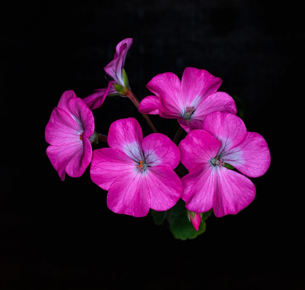 Photograph by Алексей Бирин