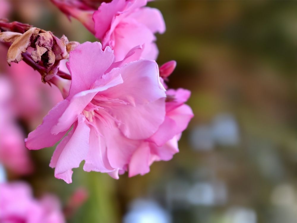 Photograph by Всеволод