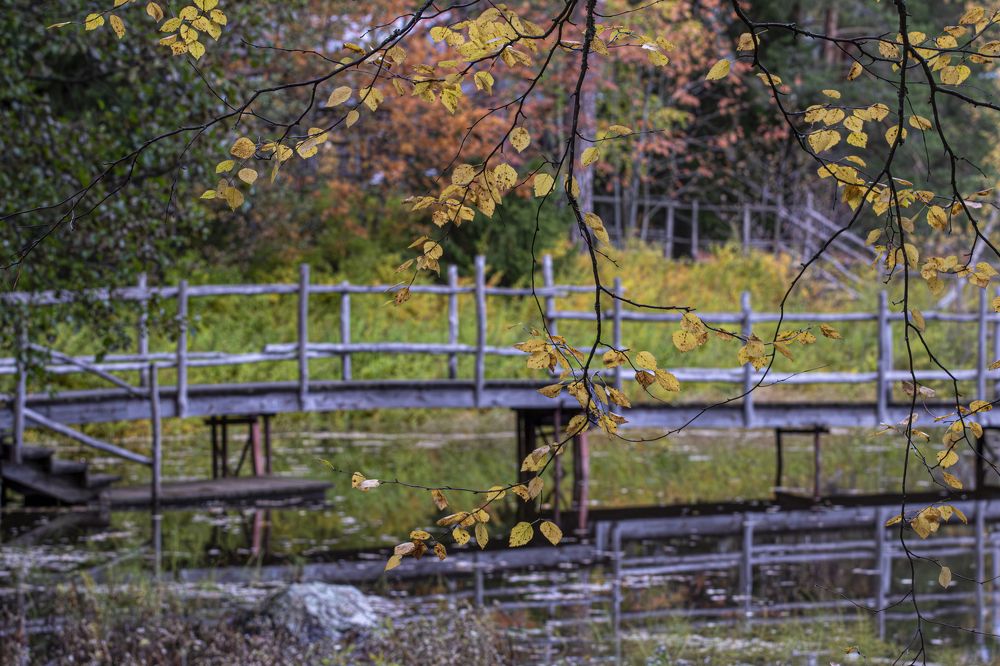 Photograph by Юлия Куликова