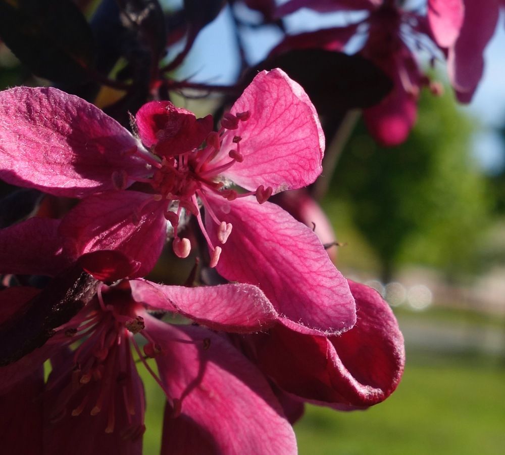 Photograph by Елена Жукова