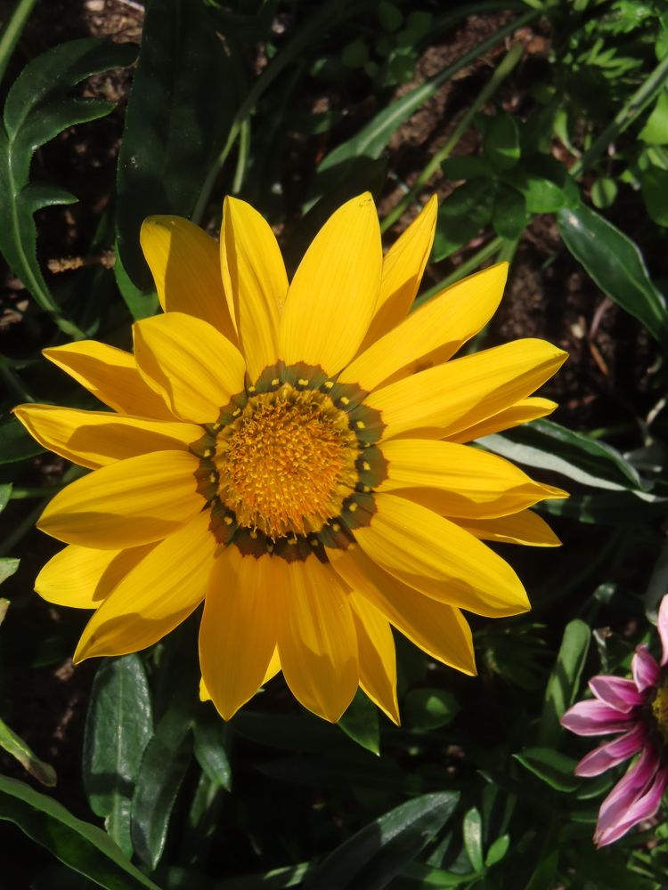 Photograph by Елена Жукова