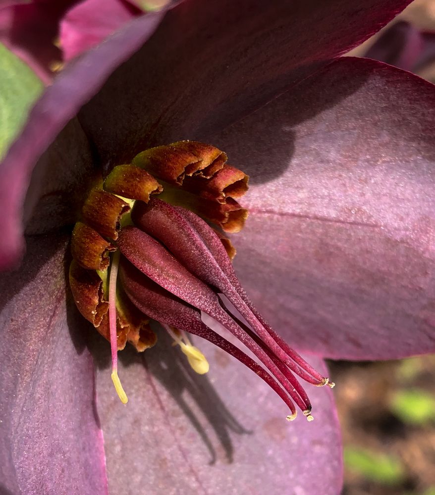 Photograph by Марина Георгиева