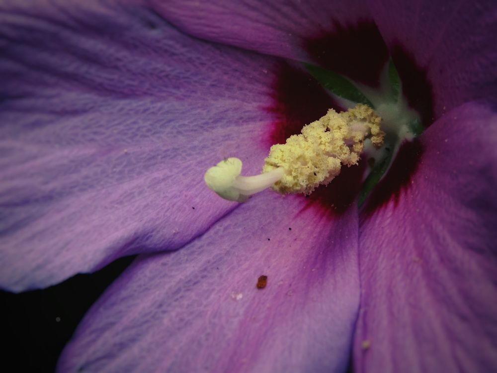 Photograph by Раиса Николаева