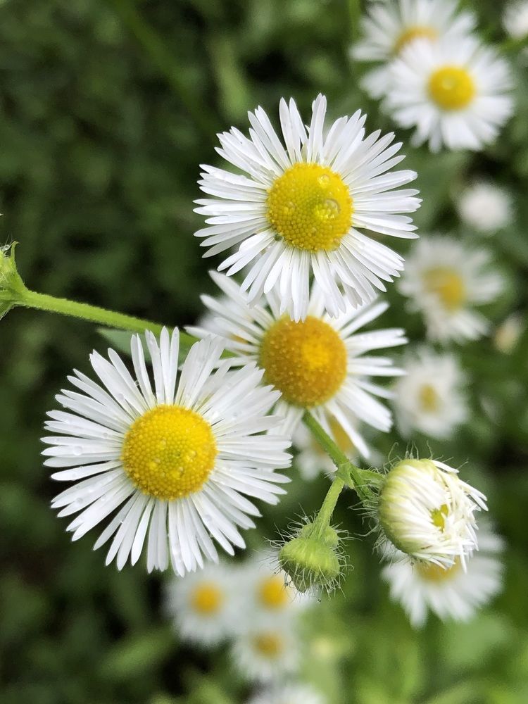 Photograph by Марина Георгиева