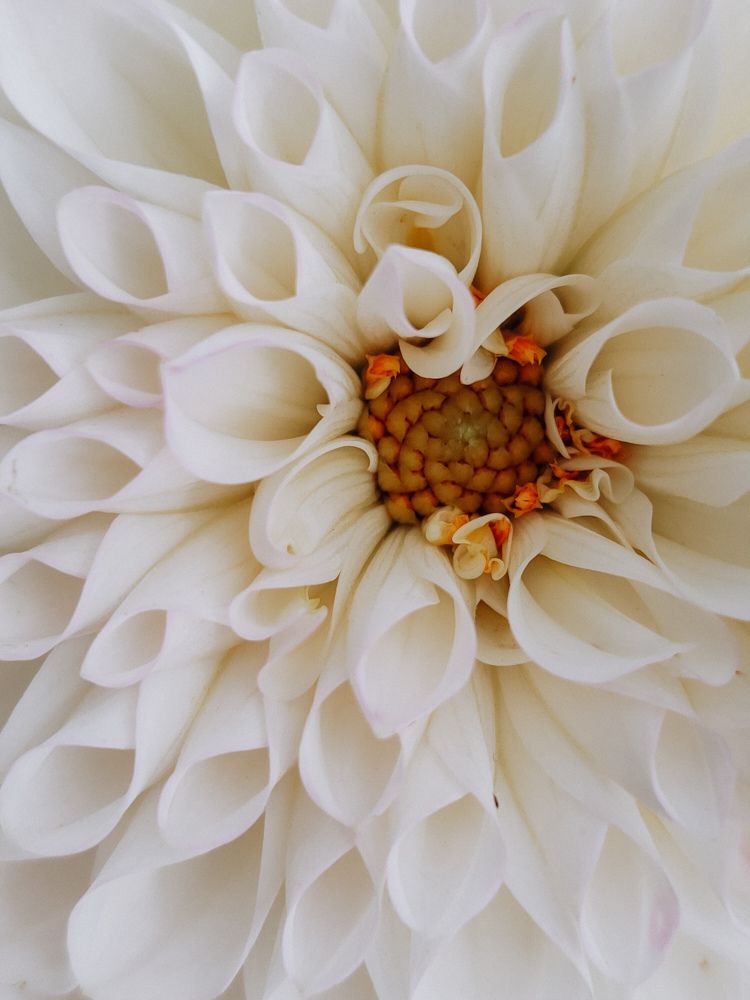 Photograph by Гульнара Зиангирова