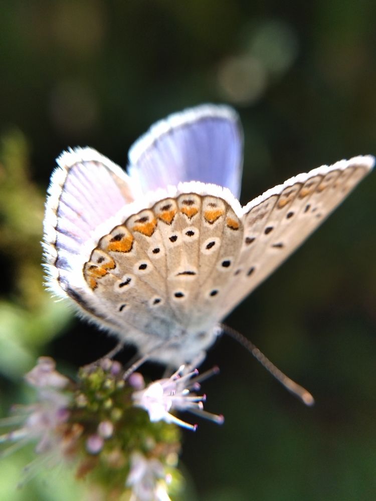 Photograph by Анна Степанова