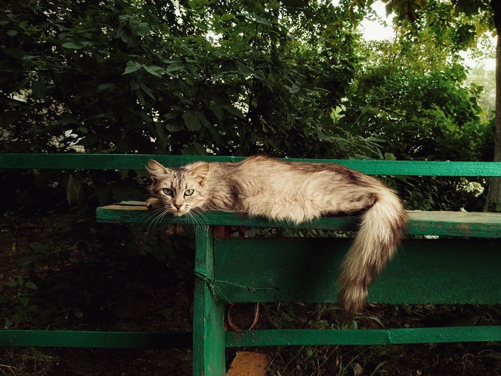 Photograph by Дамир Батряков