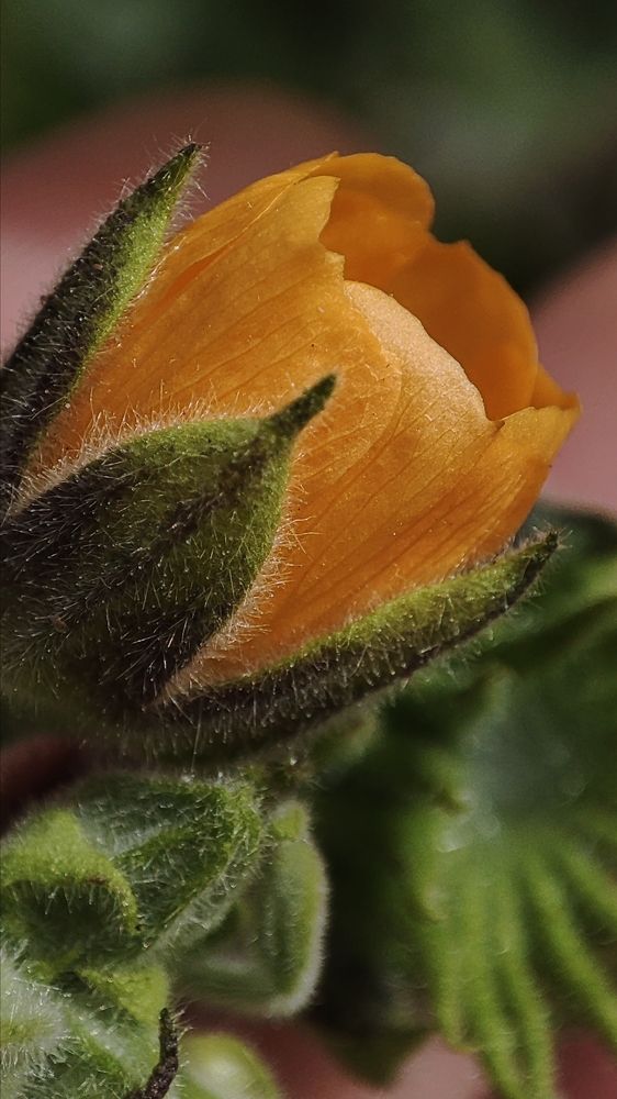 Photograph by Ирина Строкова