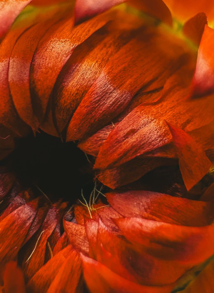 Photograph by Виктория Лаур