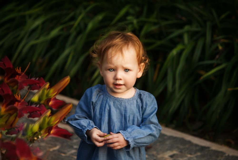 Photograph by Мария Грин (Сычёва)