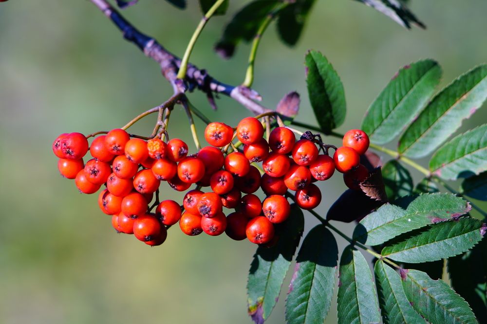 Photograph by Александр Кизим