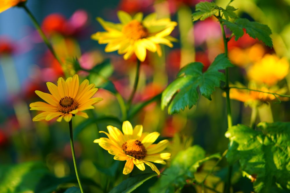 Photograph by Александр Кизим